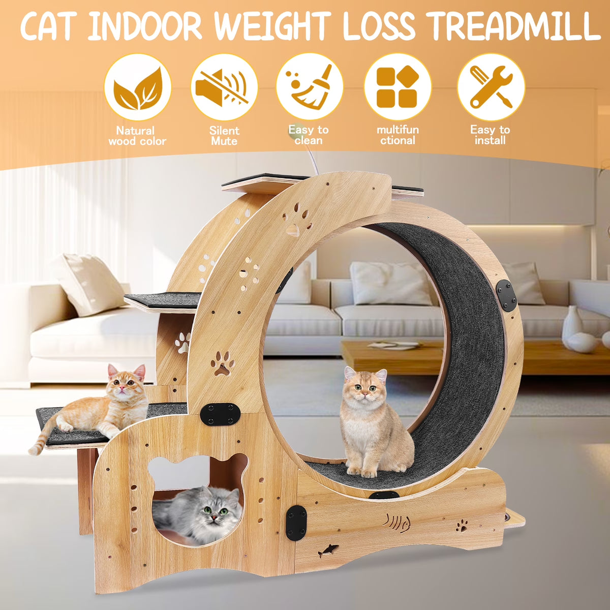 6-In-1 Cat Exercise Wheel, Upgraded Indoor Cat Running Wheel with Silent Track, Large Cat Treadmill for Exercise & Play, Cat Walking Wheel, Cat Furniture & Cat Toy