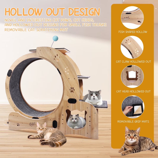 6-In-1 Cat Exercise Wheel, Upgraded Indoor Cat Running Wheel with Silent Track, Large Cat Treadmill for Exercise & Play, Cat Walking Wheel, Cat Furniture & Cat Toy