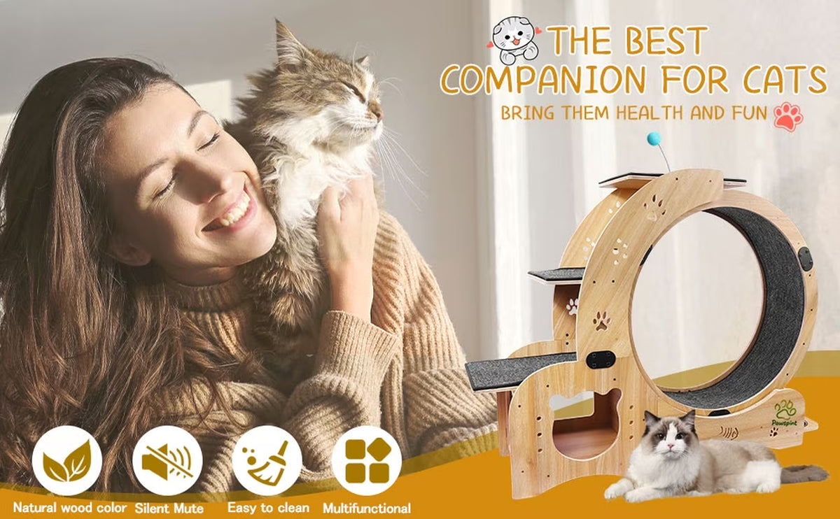 6-In-1 Cat Exercise Wheel, Upgraded Indoor Cat Running Wheel with Silent Track, Large Cat Treadmill for Exercise & Play, Cat Walking Wheel, Cat Furniture & Cat Toy