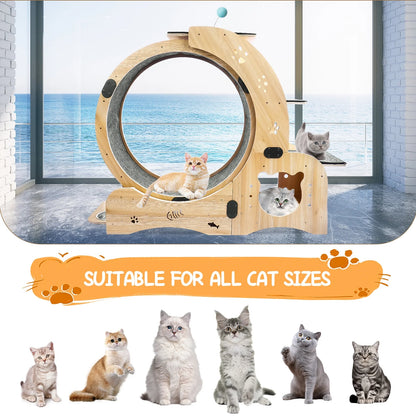 6-In-1 Cat Exercise Wheel, Upgraded Indoor Cat Running Wheel with Silent Track, Large Cat Treadmill for Exercise & Play, Cat Walking Wheel, Cat Furniture & Cat Toy