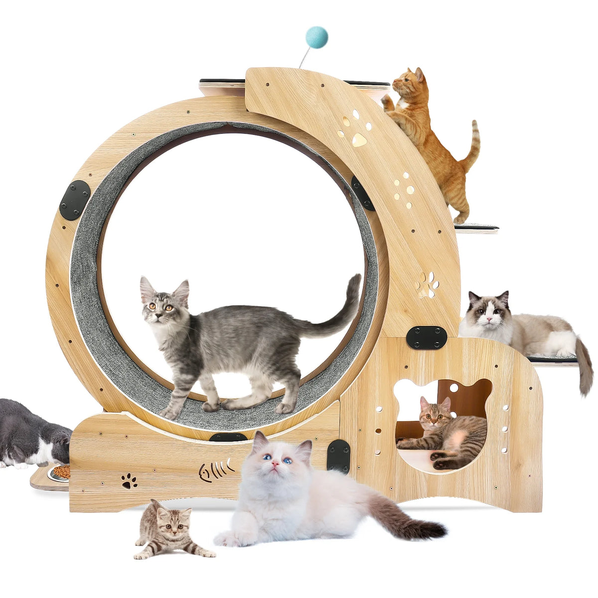 6-In-1 Cat Exercise Wheel, Upgraded Indoor Cat Running Wheel with Silent Track, Large Cat Treadmill for Exercise & Play, Cat Walking Wheel, Cat Furniture & Cat Toy