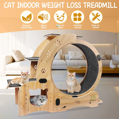 6-In-1 Cat Exercise Wheel, Upgraded Indoor Cat Running Wheel with Silent Track, Large Cat Treadmill for Exercise & Play, Cat Walking Wheel, Cat Furniture & Cat Toy